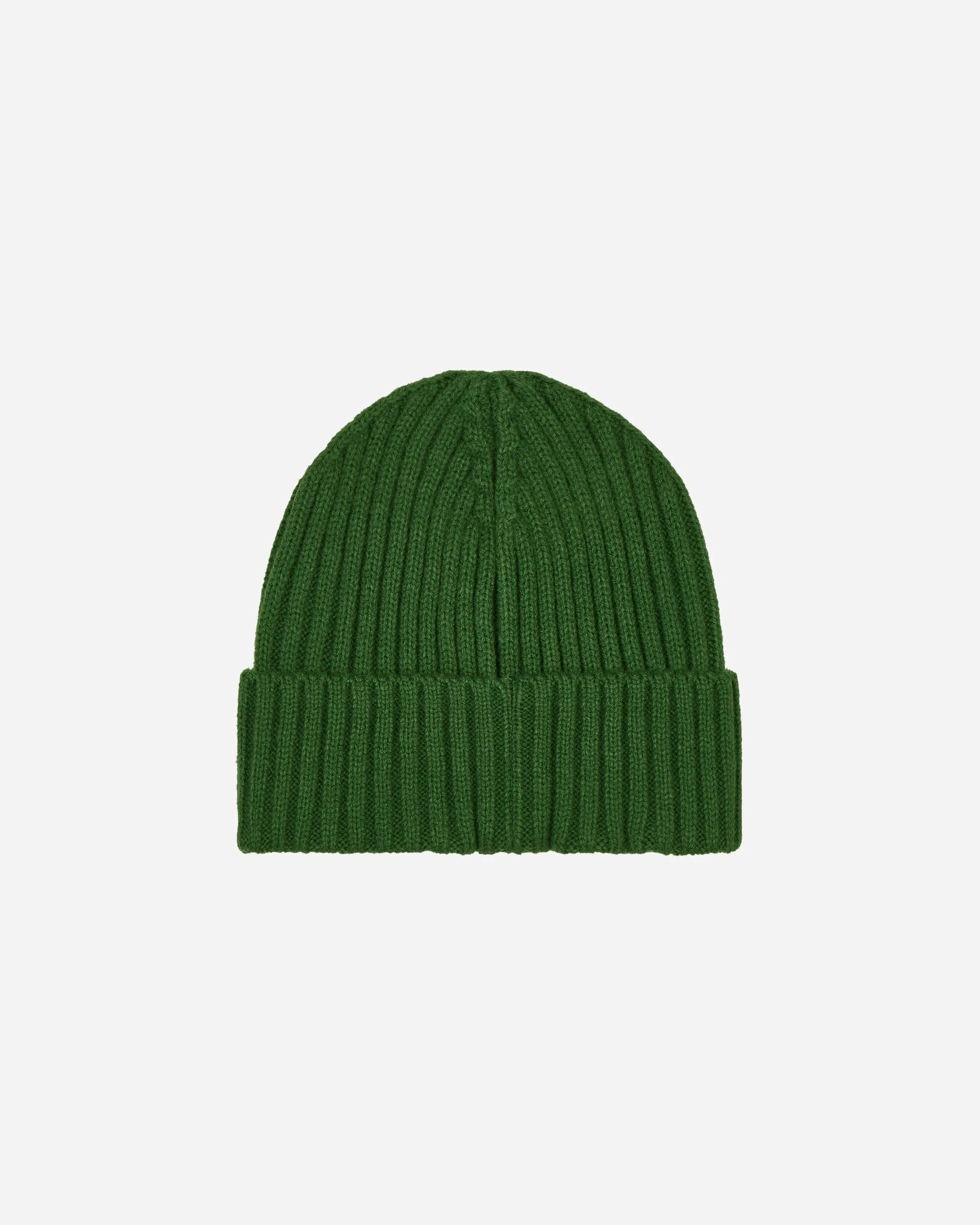 Classic Fold Beanie Ivy Green