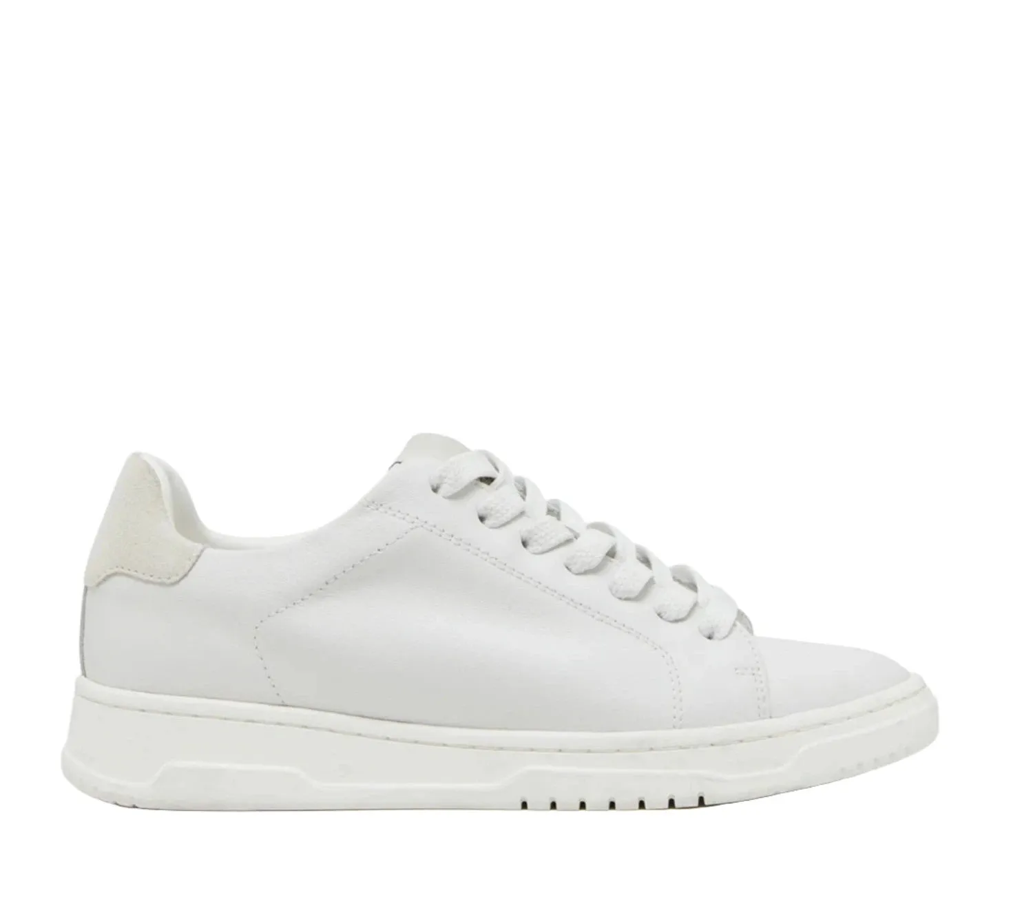 Women's Elsin Sneakers - White