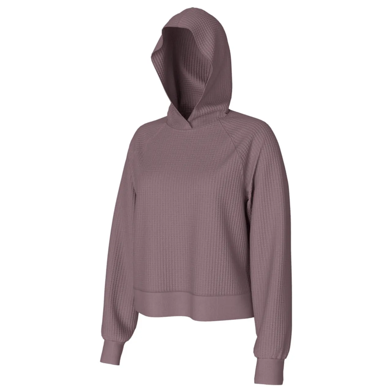 Women's The North Face Chabot Hoodie